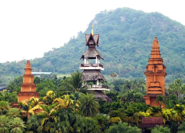 Trópusi Nongnooch botanikus kert, Pattaya, Thaiföld — Stock Fotó