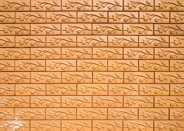 Brick wall and branch texture — Stock Photo, Image