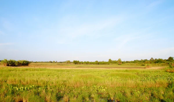 Landsbygdens landskap i landet — Stockfoto