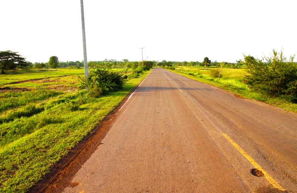 Un camino rural que atraviesa campos verdes — Foto de Stock