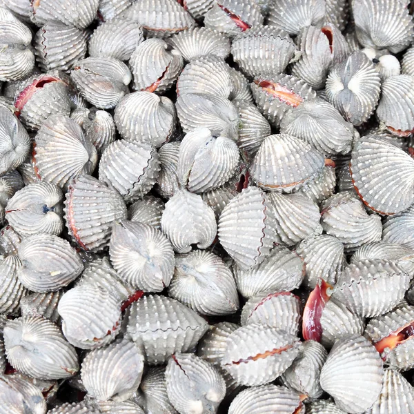 Cockles no mercado — Fotografia de Stock