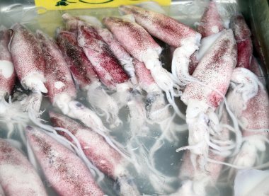 taze mürekkep sepeti taze deniz ürünleri görüntüleme