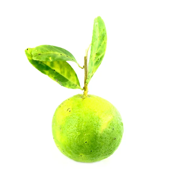 Lemon on white — Stock Photo, Image