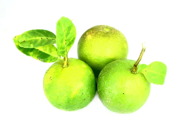 Tři citron — Stock fotografie