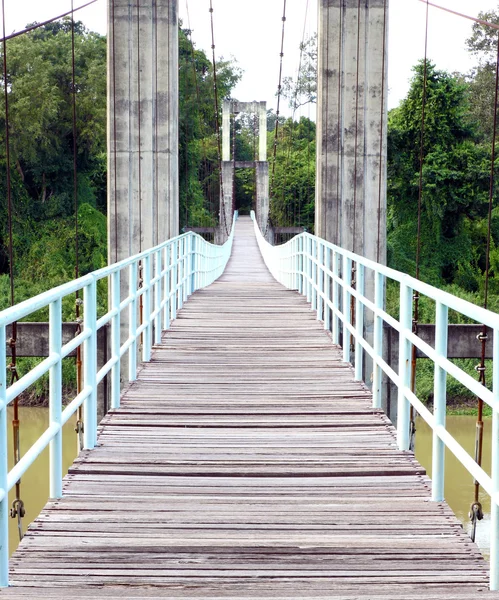 Jalan setapak kayu dari jembatan tali — Stok Foto