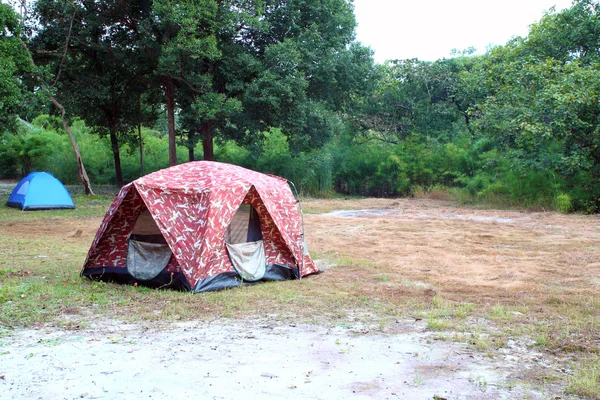 Camping tent on the forest — Stock Photo, Image