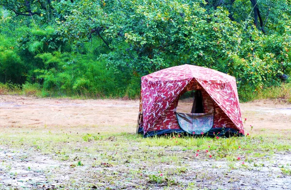 Палатка для кемпинга в лесу — стоковое фото