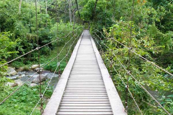 Ponte para a selva — Fotografia de Stock