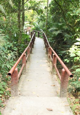 khao yai milli park orman patika