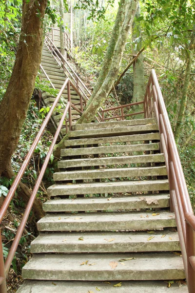 Escadaria para a selva, parque nacional Khao Yai — Fotografia de Stock