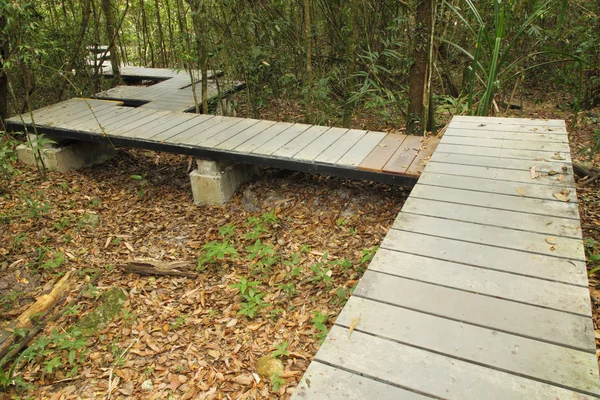 在森林里的木制浮桥 — 图库照片