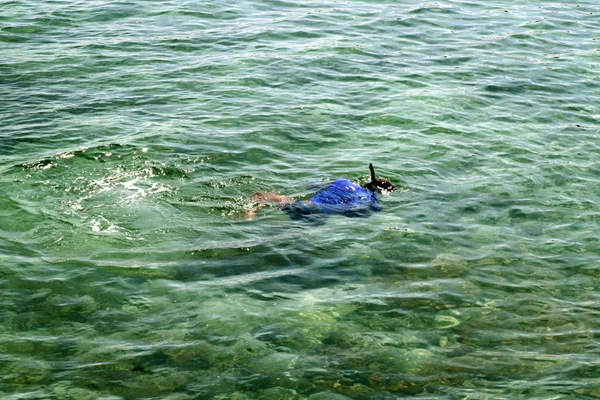 熱帯の海でシュノーケ リングの男 — ストック写真
