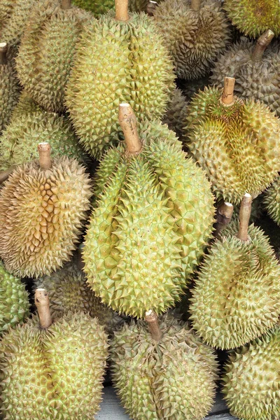 Durian, król owoców — Zdjęcie stockowe