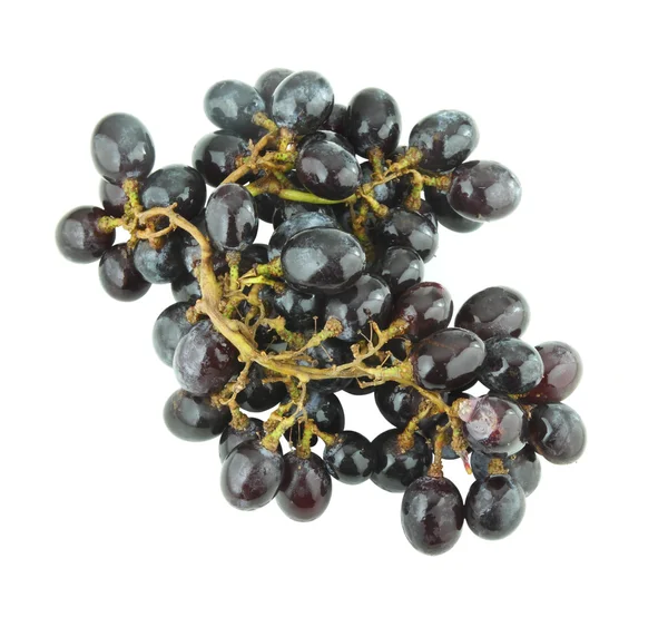 Grappolo d'uva fresco — Foto Stock