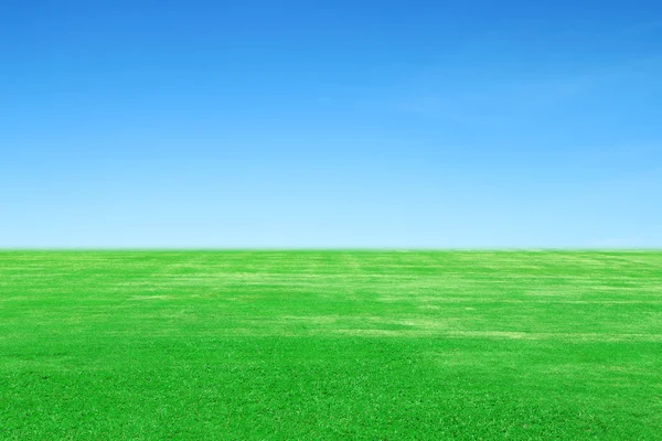 Campo de hierba verde con cielo —  Fotos de Stock