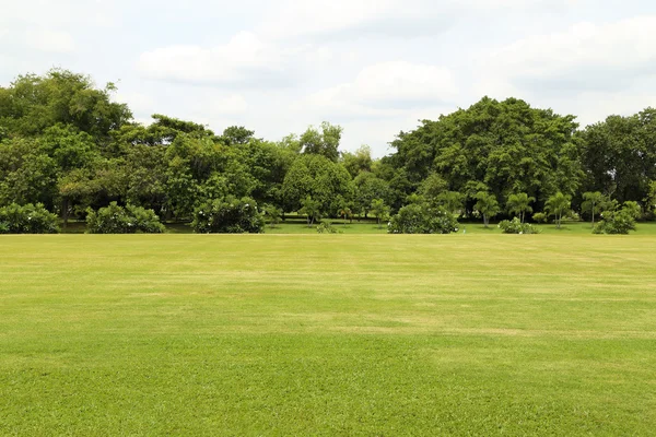 Yeşil Çimen Alanı