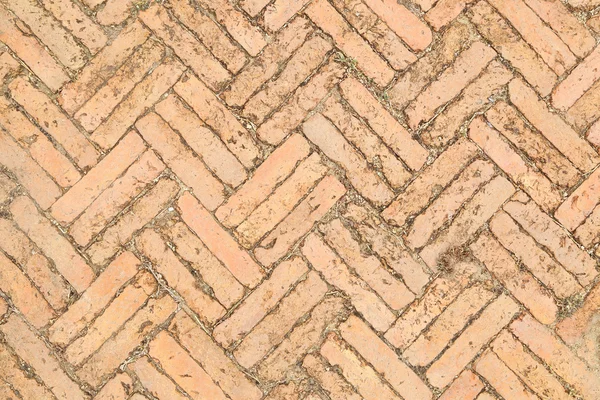 Red brick paving stones on a sidewalk — Stock Photo, Image