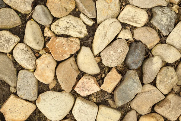 Pebble pedras textura fundo — Fotografia de Stock