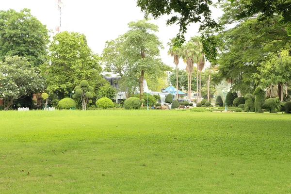 Campo di erba verde in giardino — Foto Stock