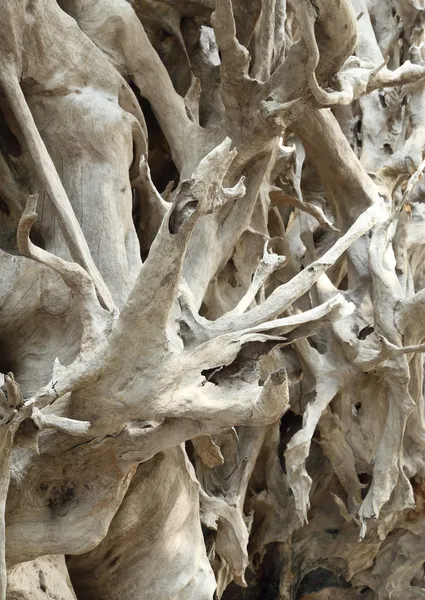 Getrocknete Zweige und Äste gestreiftes Holz — Stockfoto