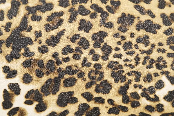 Fond avec texture léopard — Photo