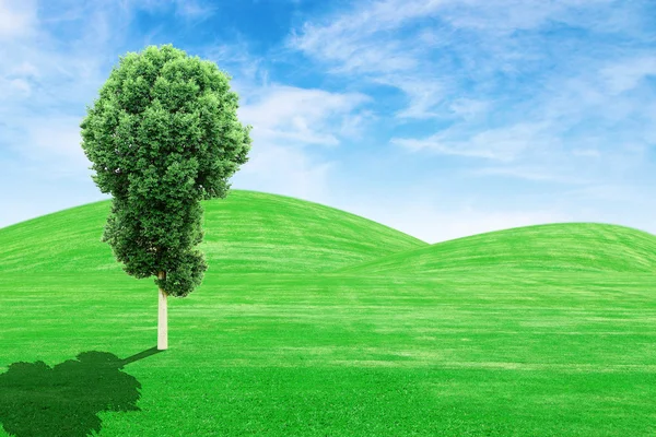 Verdes colinas de hierba y árbol con cielo —  Fotos de Stock