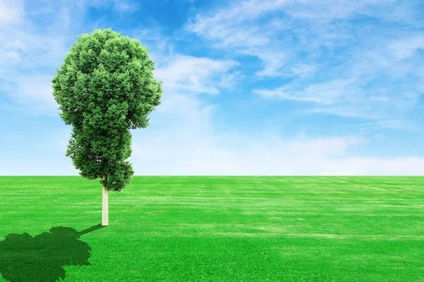 Campo de hierba con árbol y cielo —  Fotos de Stock