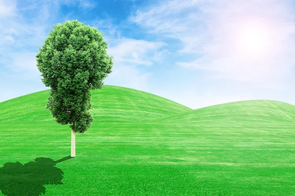 Green grass hills and tree with sun and sk — Stock Photo, Image