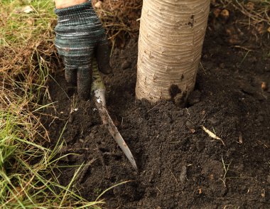 bahçede el küreği ile çalışma