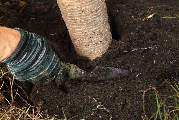 Hand with shovel working in the garden — Stock Photo, Image