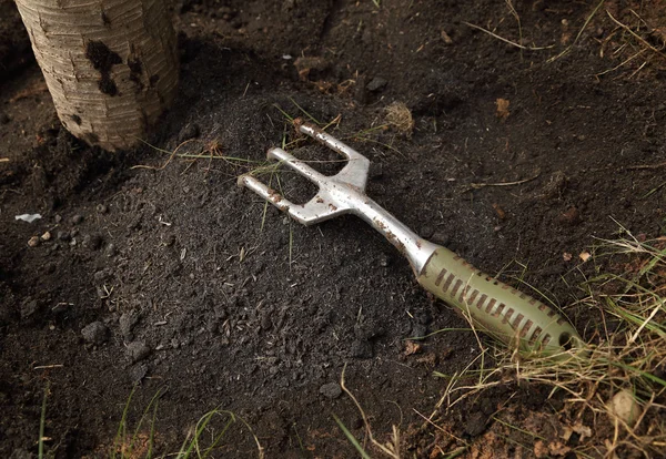 Small gardening fork on soil — Stock Photo, Image