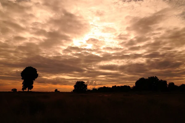 Campo e árvore com pôr do sol — Fotografia de Stock