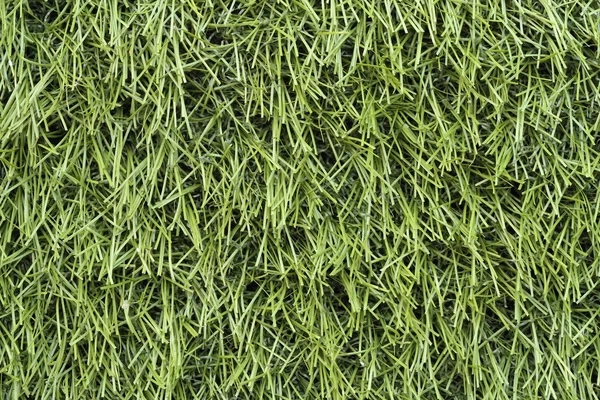 Groen gras textuur — Stockfoto