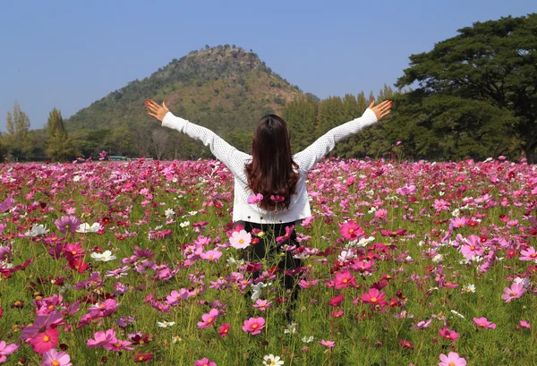 Woman in cosmos flower field — Stock Photo, Image