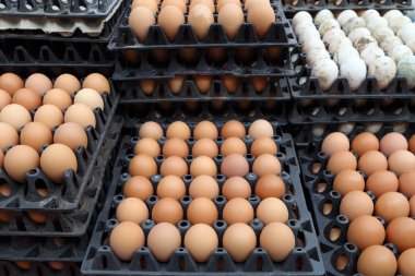 Marketten yumurta tepsiler