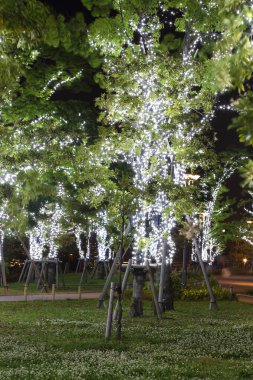 LED Bahçe Dekorasyon