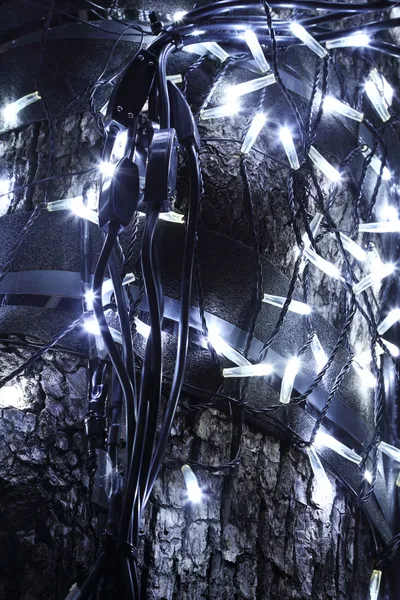 Elektrisch licht op boom — Stockfoto