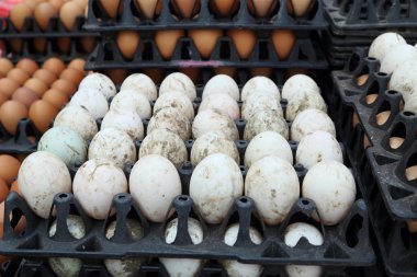 Beyaz yumurta tepsi içinde belgili tanımlık çarşı