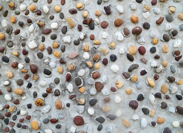 Pebbles na textura da parede de concreto — Fotografia de Stock