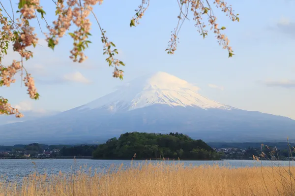 富士山河口湖からの眺め — ストック写真
