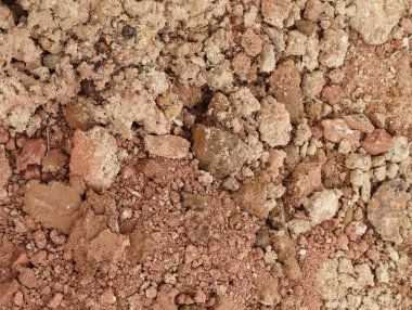 Kuru Kırmızı hamurlu taşlar 