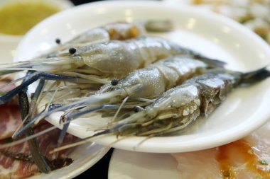 bir tabak içinde çiğ karides