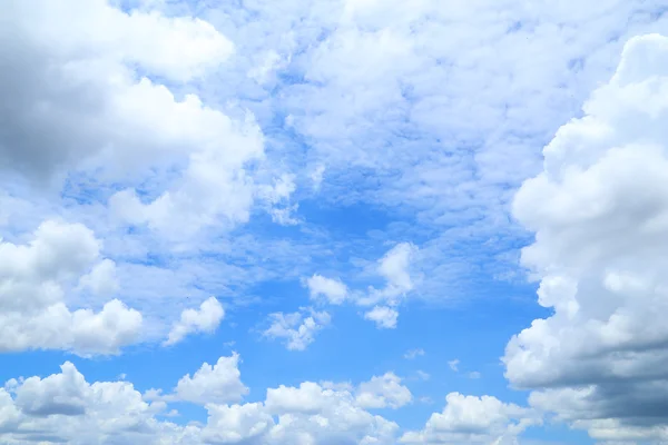 浓度与蓝蓝的天空 — 图库照片