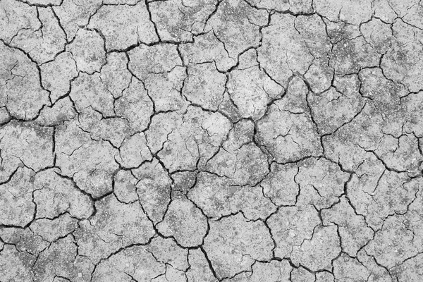 Cracked soil — Stock Photo, Image