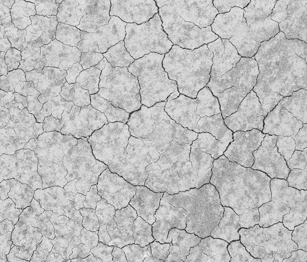 Cracked soil — Stock Photo, Image