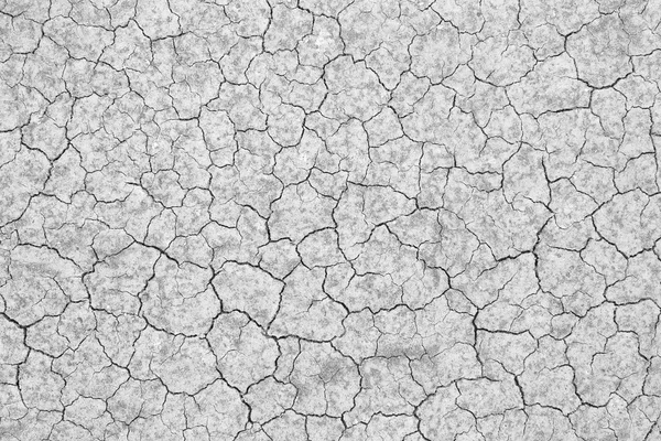 Cracked soil — Stock Photo, Image