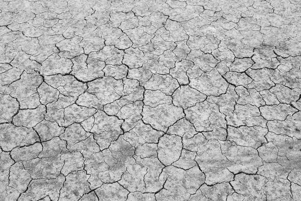 Cracked soil — Stock Photo, Image