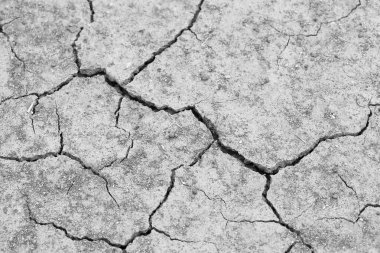 Kuru dracked toprak toprak yakın çekim