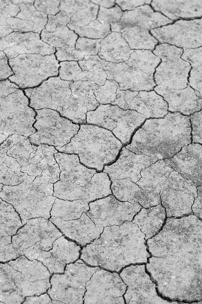 Cracked soil ground — Stock Photo, Image