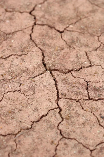 Крупним планом сухий витягнутий грунт — стокове фото